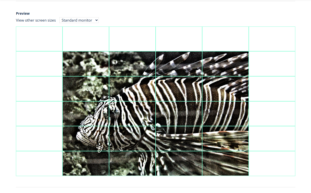 Preview of image in the multi content grid